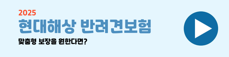 강아지 보험 비교 설명 이미지