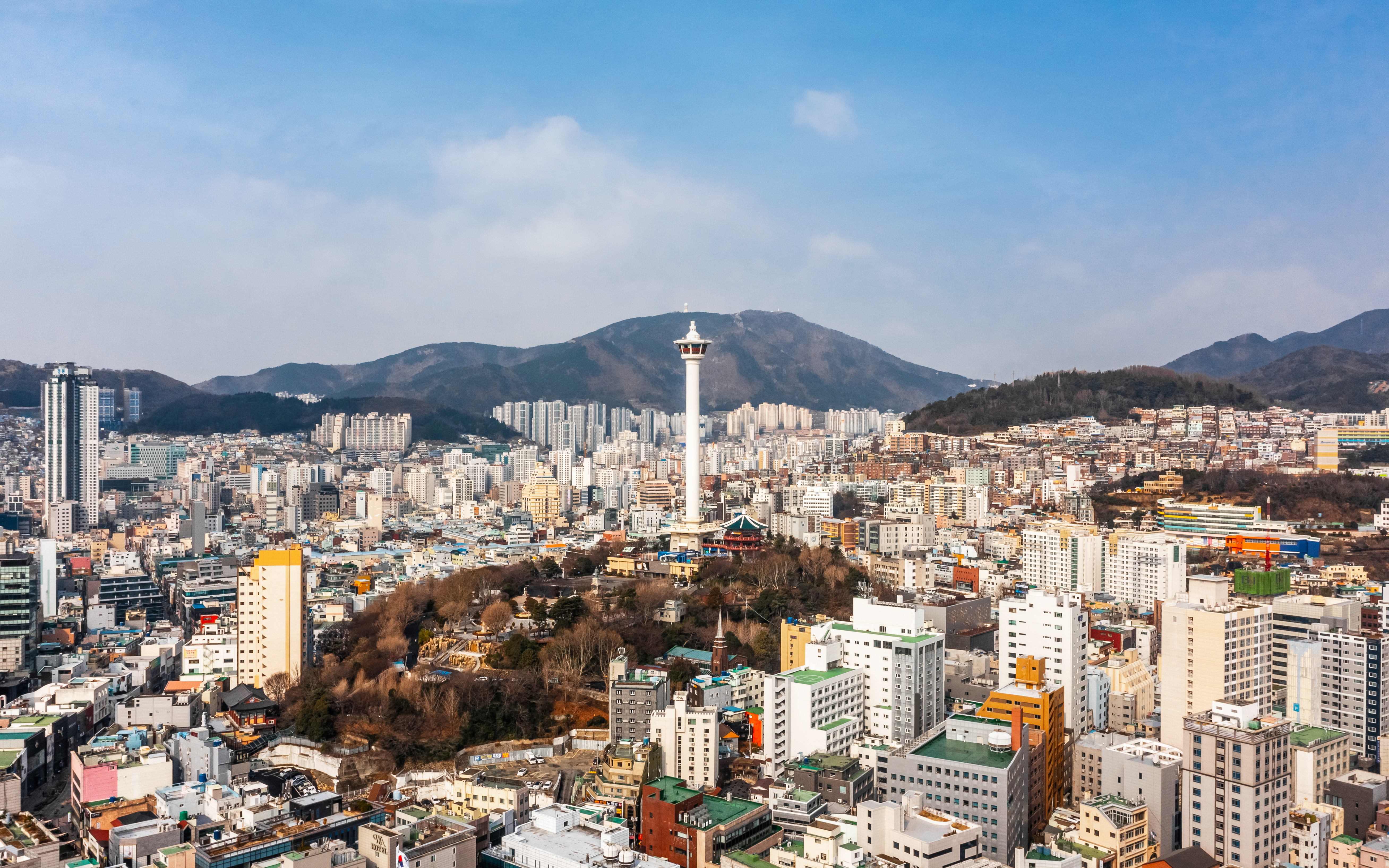 서울 청년 복지사업 신청 관련 사진