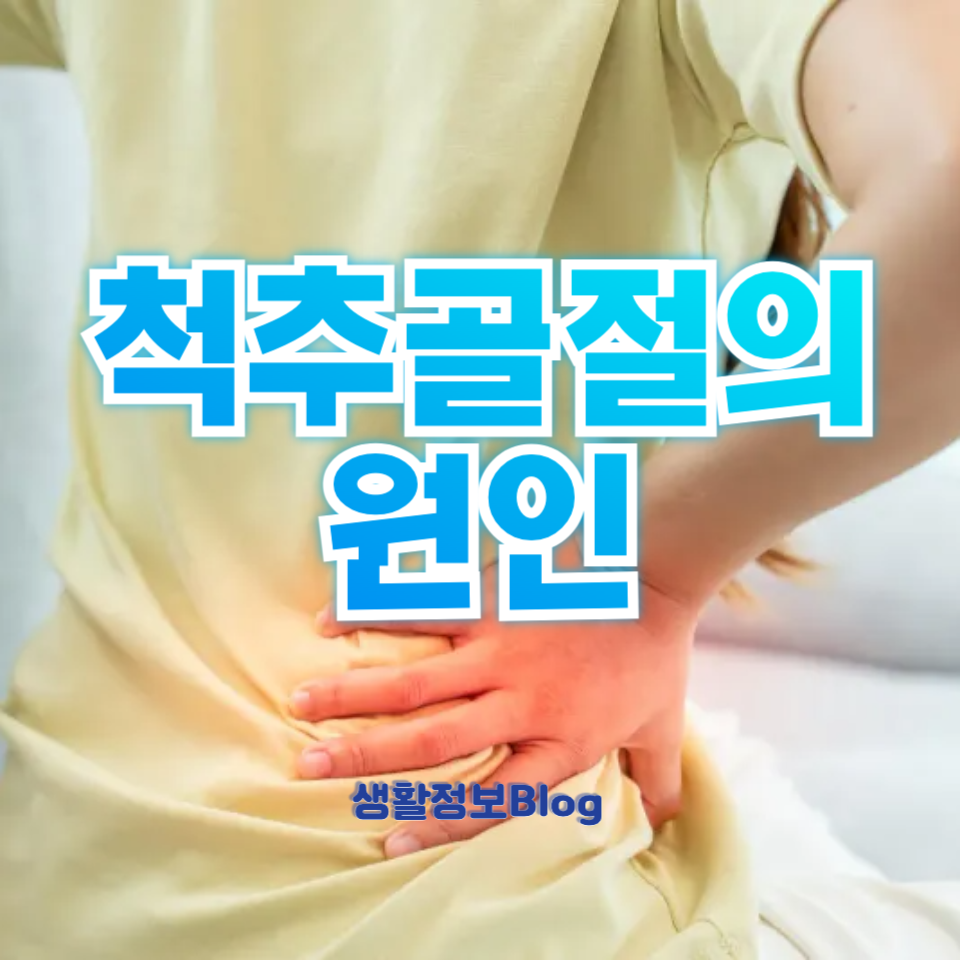 척추골절의 원인