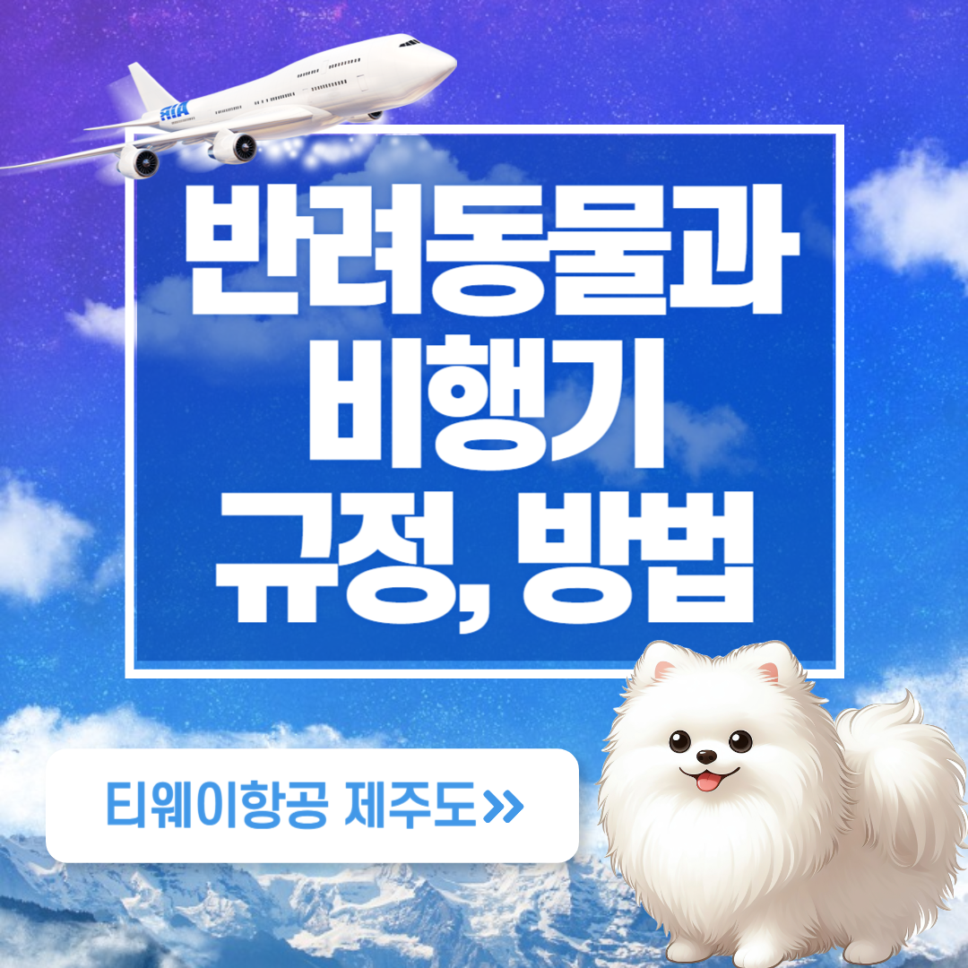 반려동물-제주도-비행기