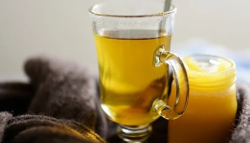 반려동물 자격증 창업 취업