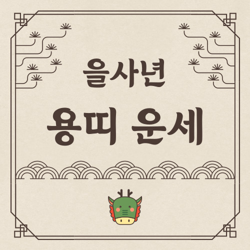 2025년 을사년 용띠 신년 운세