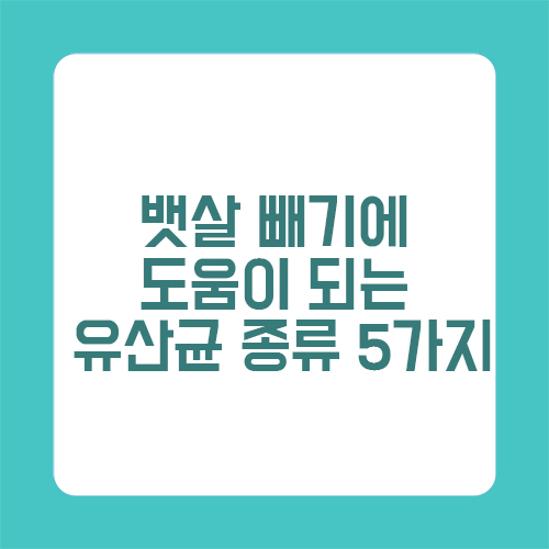 뱃살 빼기에 도움이 되는 유산균 종류 5가지