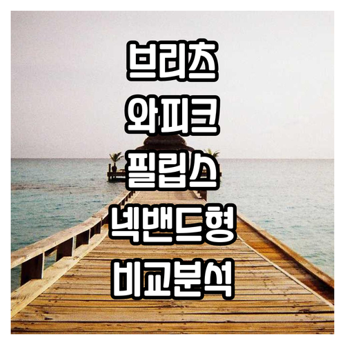 블루투스 5.4 이어폰 추천 브리츠 ..