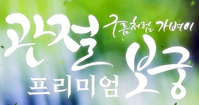 관절보궁 가격, 부작용, 후기(내돈내산, 장단점 총정리)