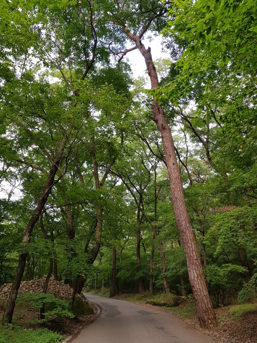 2025년 추석연휴 충청북도 여행지 BEST 5