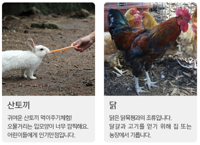 먹이주기체험