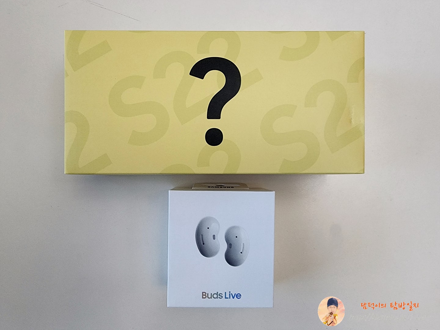 럭키박스와 버즈 라이브