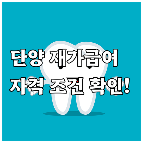 2025 충북 단양 의료급여 재가급여..