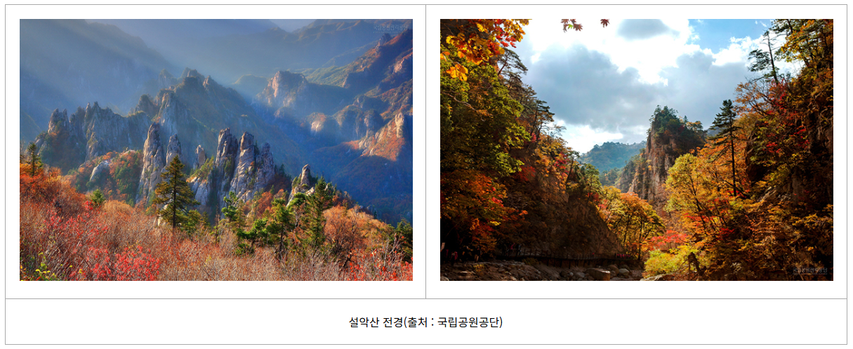 설악산 단풍 시작! 절정시기 지금 확인하세요 (출처 : 기상청)