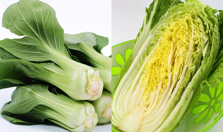 청경채 알배추