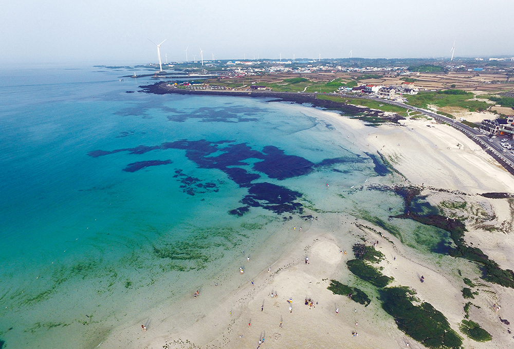 제주도-가볼만한곳-10곳-월정리해변1