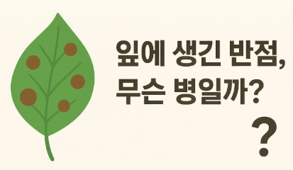 잎에 생긴 반점 사진