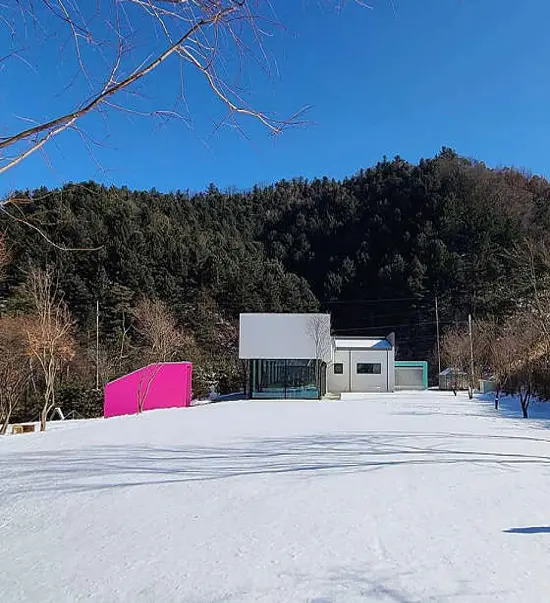 싣나모