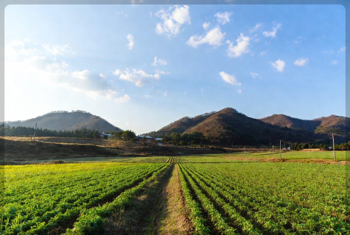 공익직불금 온라인 교육