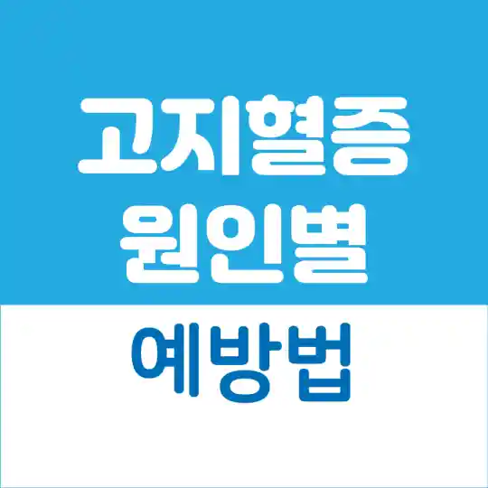 고지혈증 원인별 예방법
