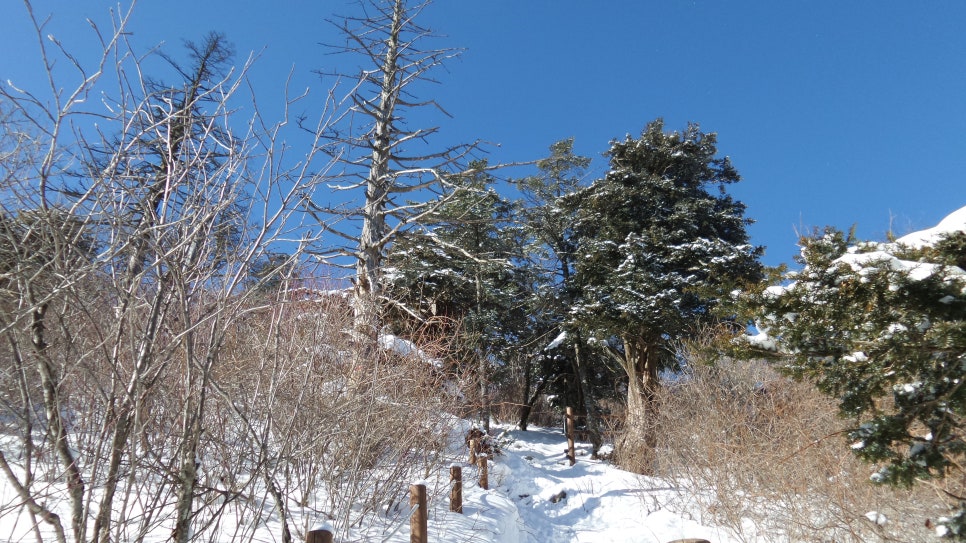 100대 명산 등산하기 평창 계방산(桂芳山, 1,577m) 설악·오대산과 함께 강원도 고산지대의 대표 명산