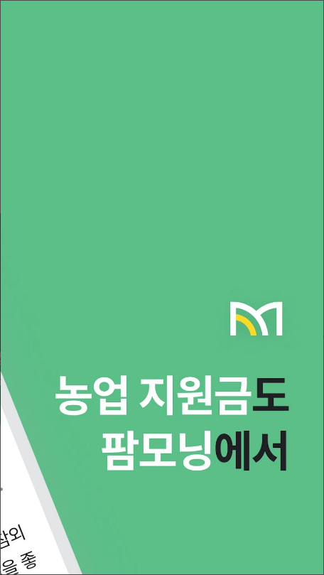 팜모닝