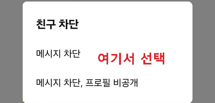 친구 차단 선택창 보임