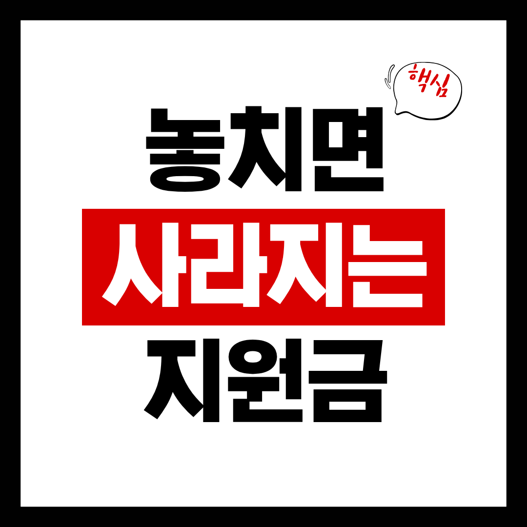 2025년 복지지원 총정리|우리 집 조건만 입력하면 바로 확인 가능