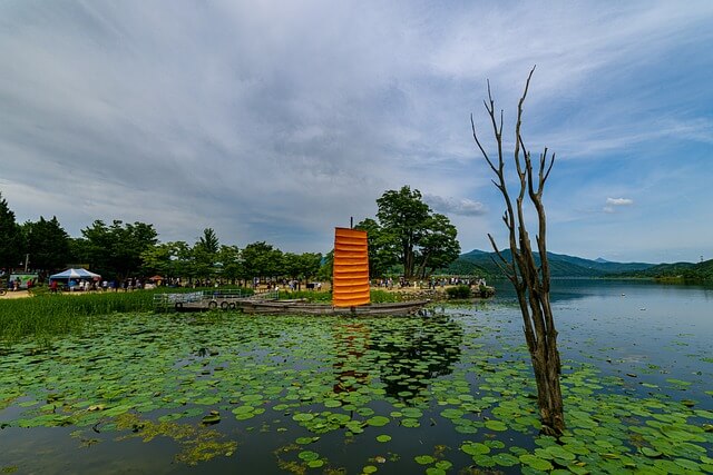 두물머리 양평호수
