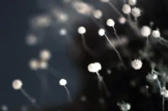 곰팡이 냄새 빨래통 환기와 햇빛 건조 베이킹소다 뿌리기_17