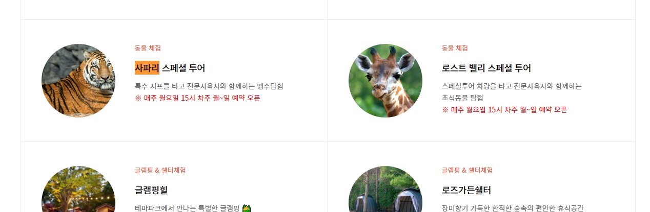 로스트밸리 스페셜 투어 요금