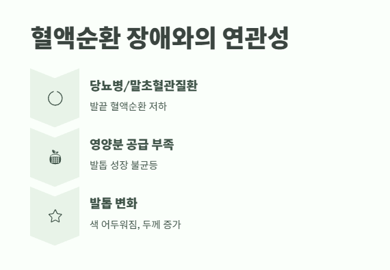 발톱이 두꺼워지는 이유 건강 신호일까 2