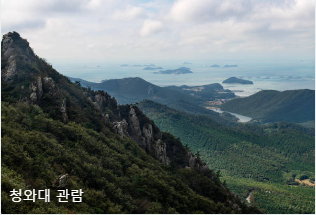 청와대 관람 신청