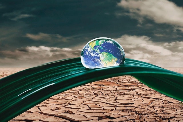 기후변화 대응 전문가, 지속가능 이끄는 직업, 커리어의 방향성