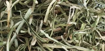 토란대줄기 수확시기토란대 말리는 방법까지 안내_2