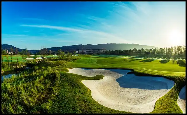 파크골프 용어 정리 (+ 해설 )