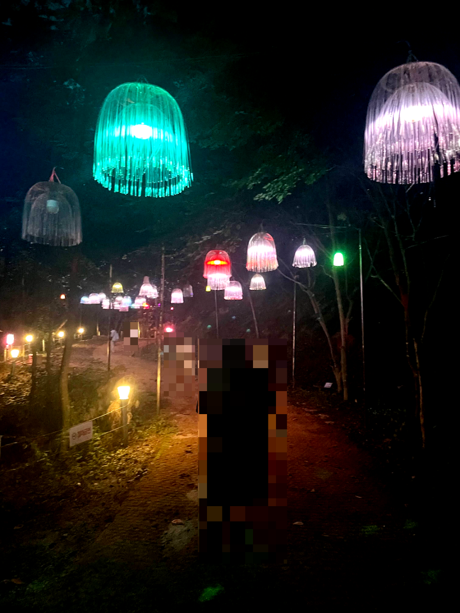 꽃빛의 메조포르테2