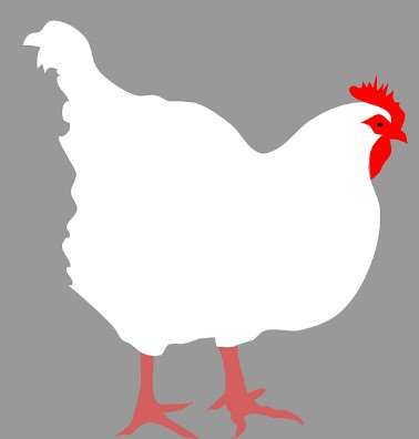 2026년 병오년 닭띠 신년운세 무료보기|무료사이트 추천 7