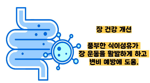 귀리 효능과 부작용