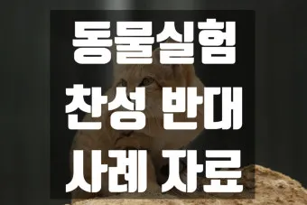 동물 실험의 윤리적 문제와 이제는 멈춰야 할 때입니다에 대한 의견_13
