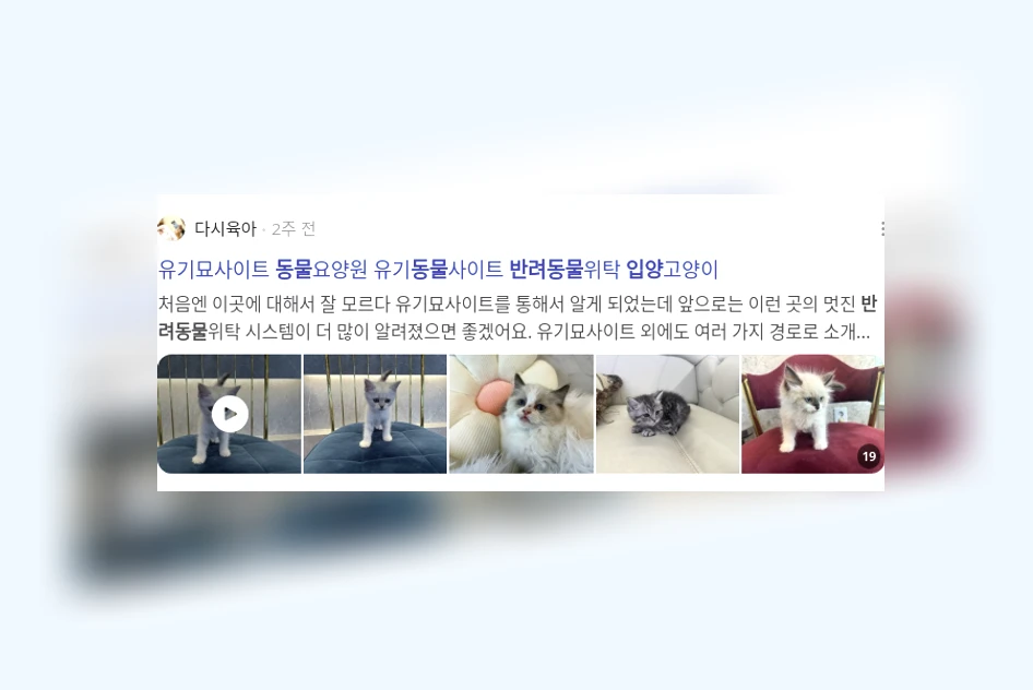 반려동물 입양_2_subsection