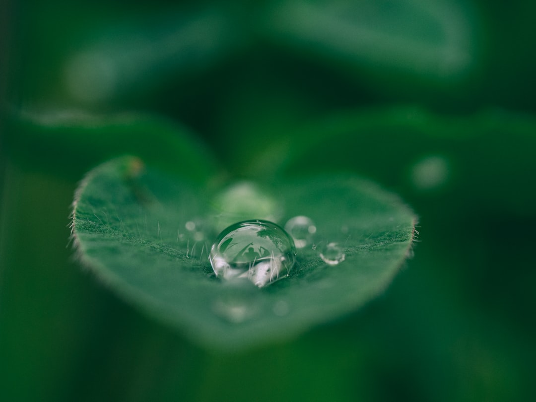 Sustainability
