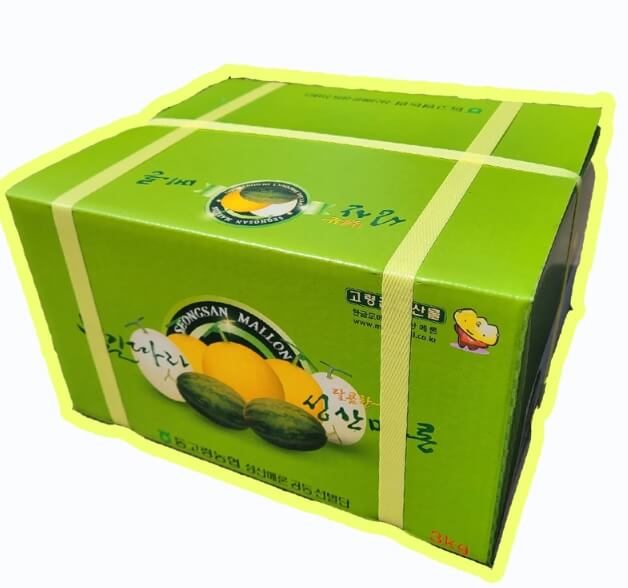 생방송투데이 이 주의 장바구니 경북 고령 쌍둥이메론농장 하미과 & 설향 멜론 주문방법 생방송투데이 3776회