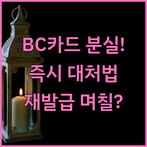 분실 BC카드 신속 대처 즉시 재발급..