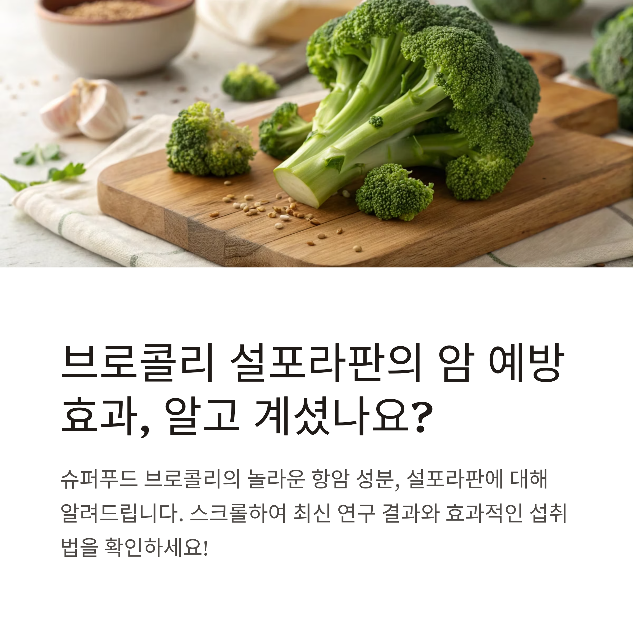 브로콜리 설포라판