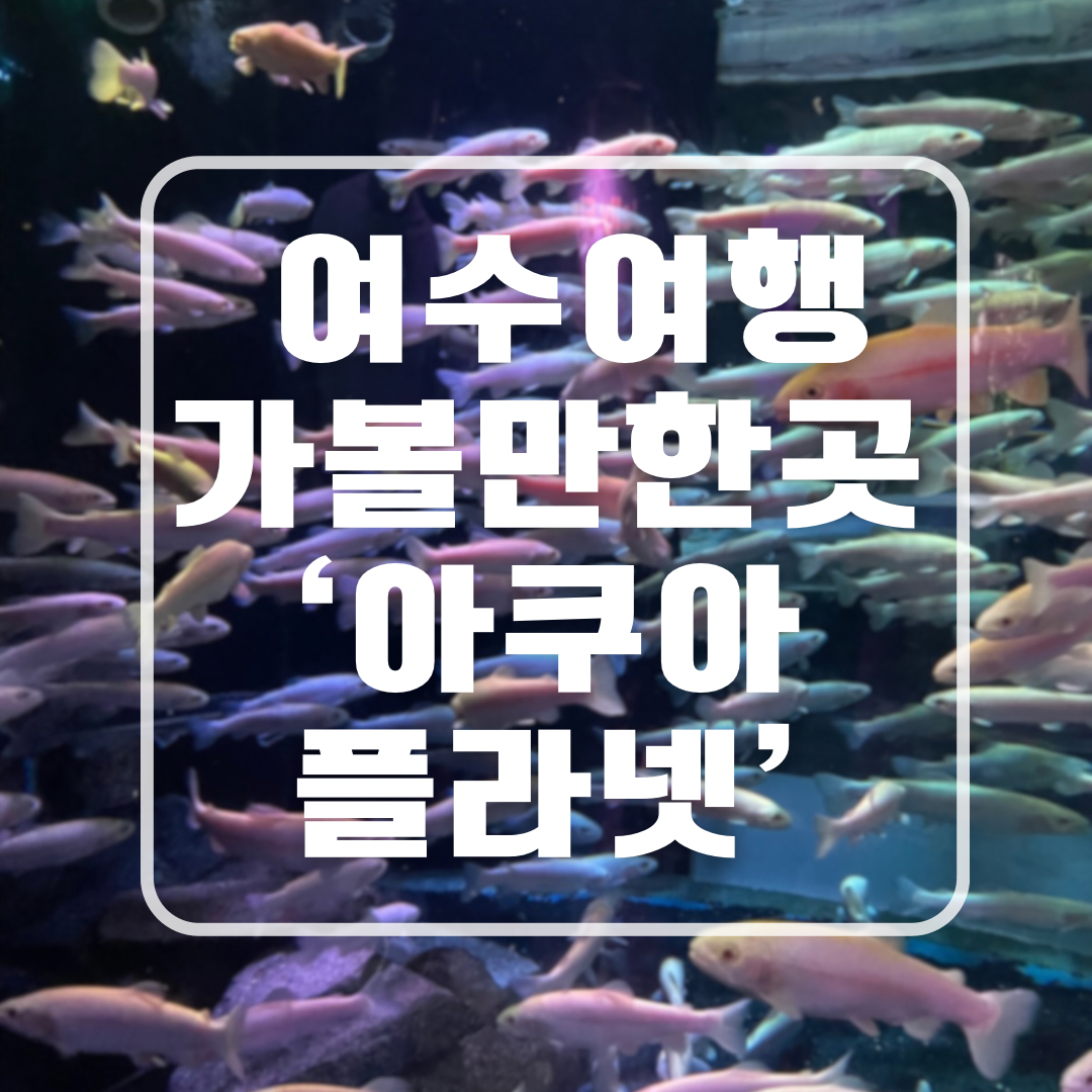 여수 아쿠아플라넷