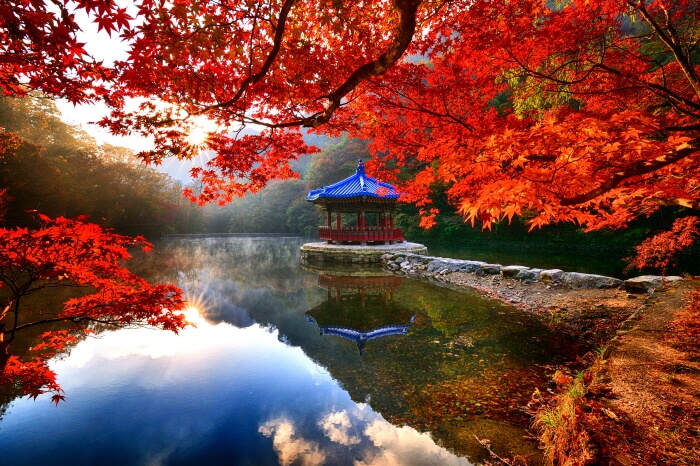 전북 정읍시 내장산 국립공원 단풍