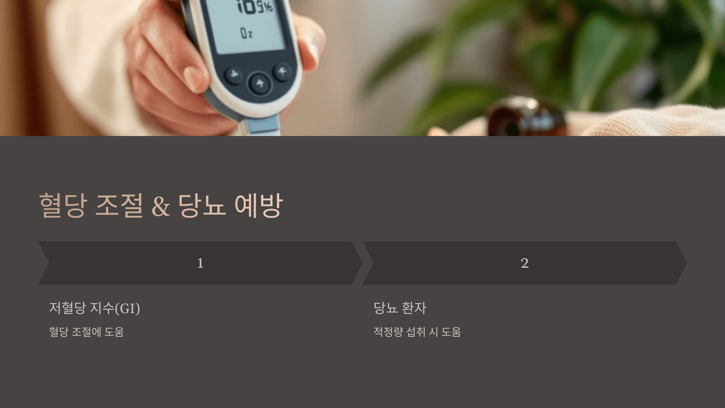 땅콩 사진입니다.