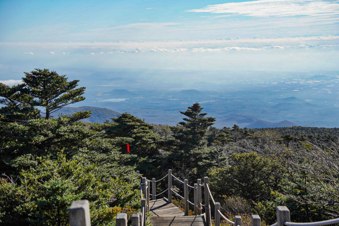 한라산 정상 올라가는길