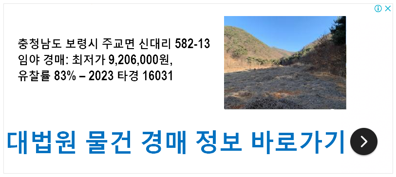 충청남도 보령시 주교면 신대리 582-13 임야 경매 최저가 9,206,000원, 유찰률 83% – 2023 타경 16031