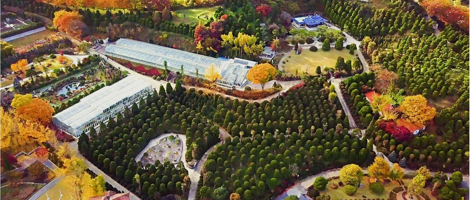 베어트리파크 단풍 축제