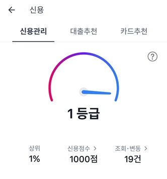 신용정보조회내역입니다