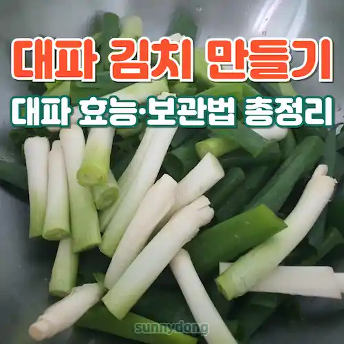 대파 김치 만들기부터 효능·보관법까지 총정리 썸네일