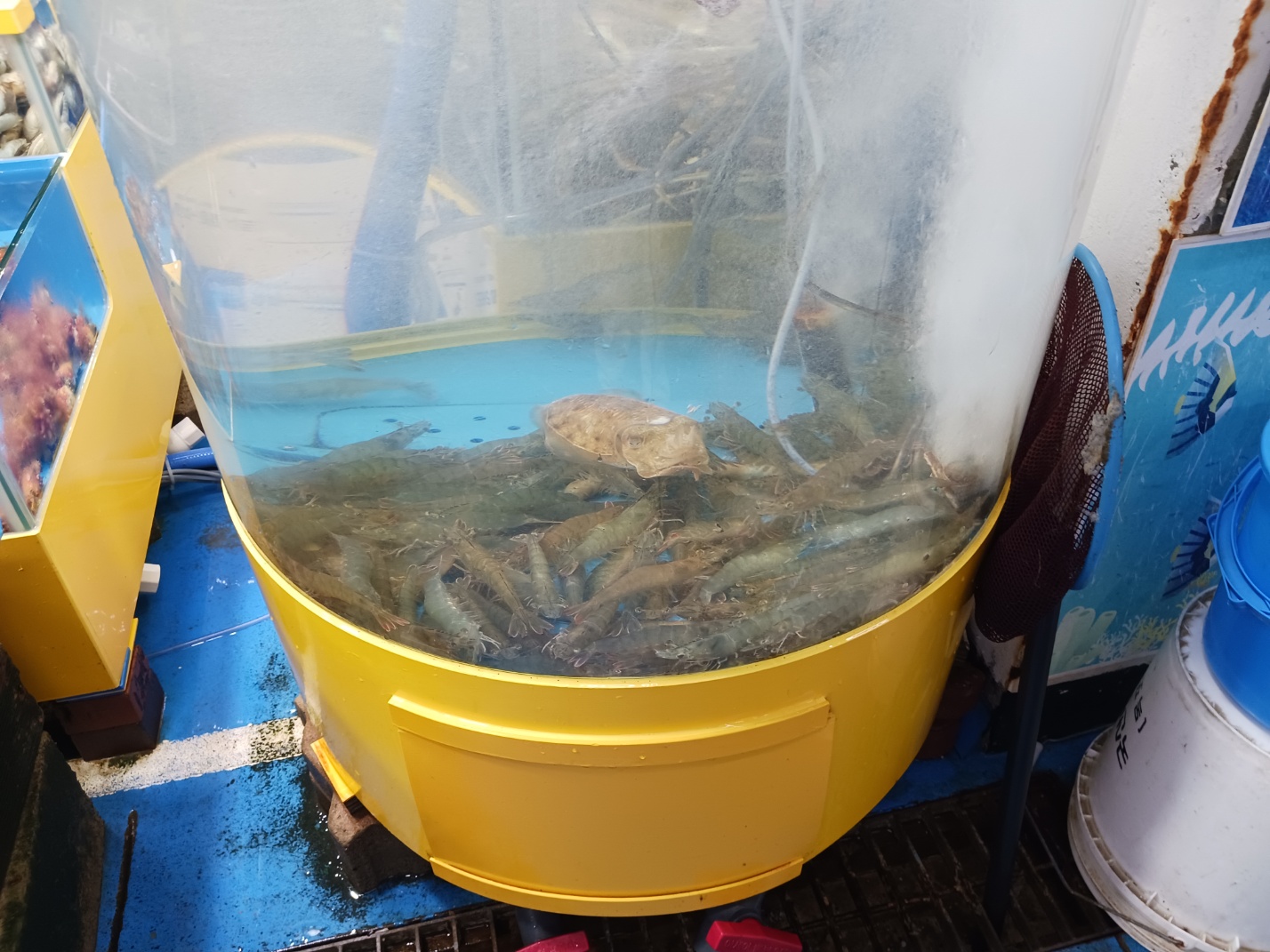 삽교호전망대종합어시장